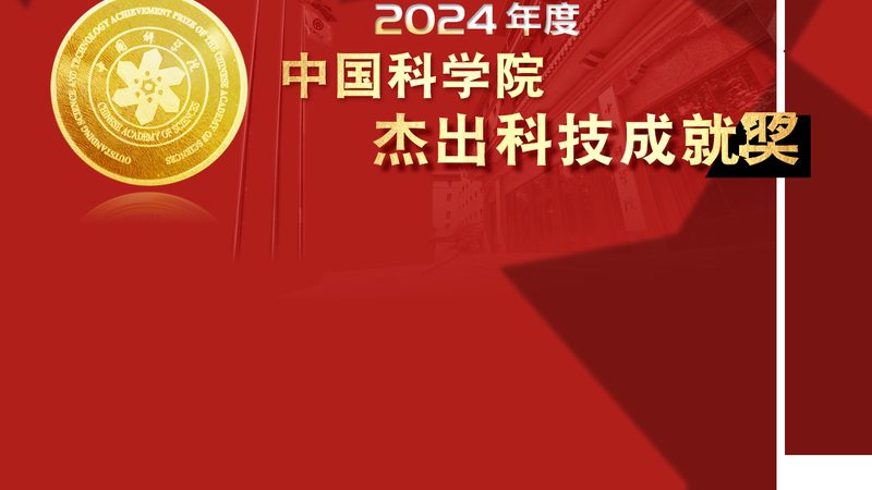 零售业OA办公系统：价格背后的价值考量